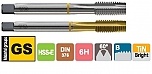 GWINTOWNIK DIN-376 B M 3 HSS-E GS - GWINTOWNIK DIN-376 B M 30 HSS-E GS TiN