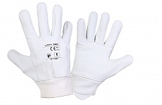 Rękawice ze skóry koziej białe 8[M]